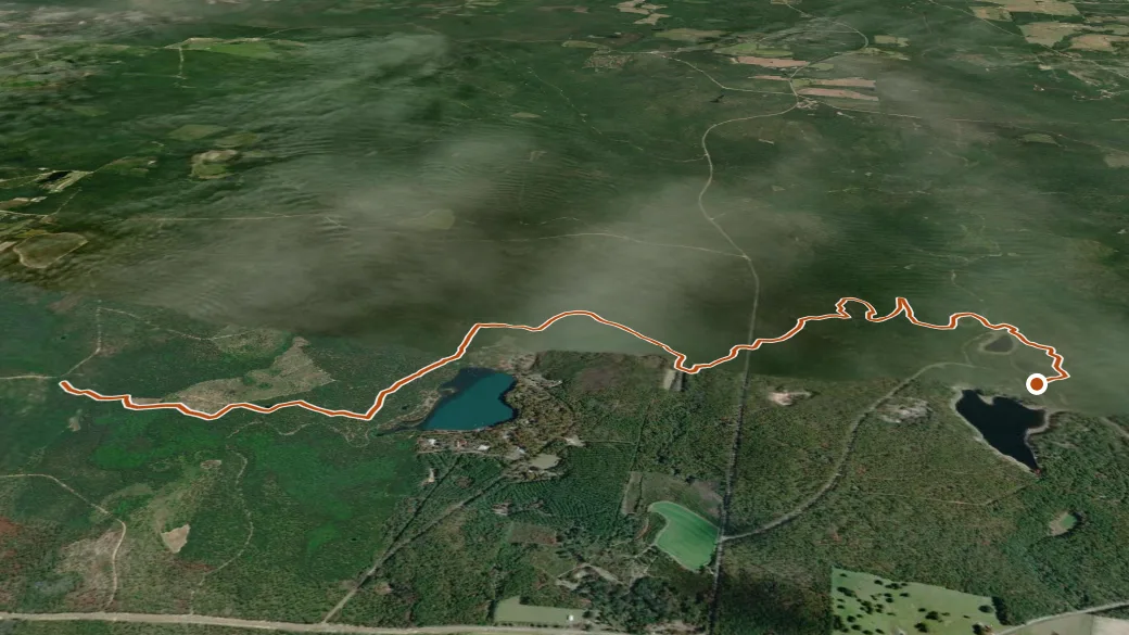 3-D terrain view of Conecuh Trail