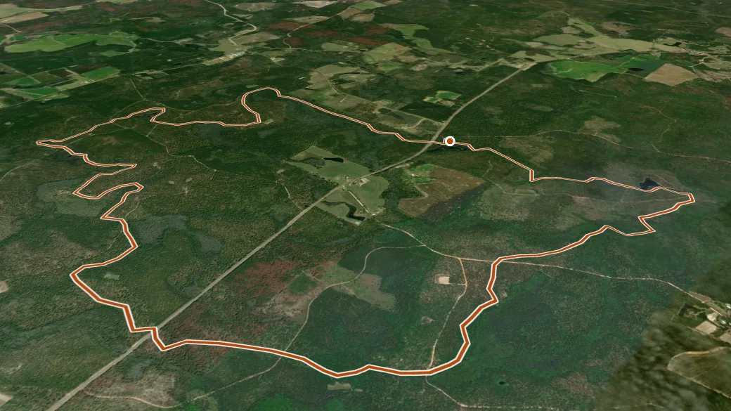 3-D terrain view of Conecuh North Shore Loop Trail