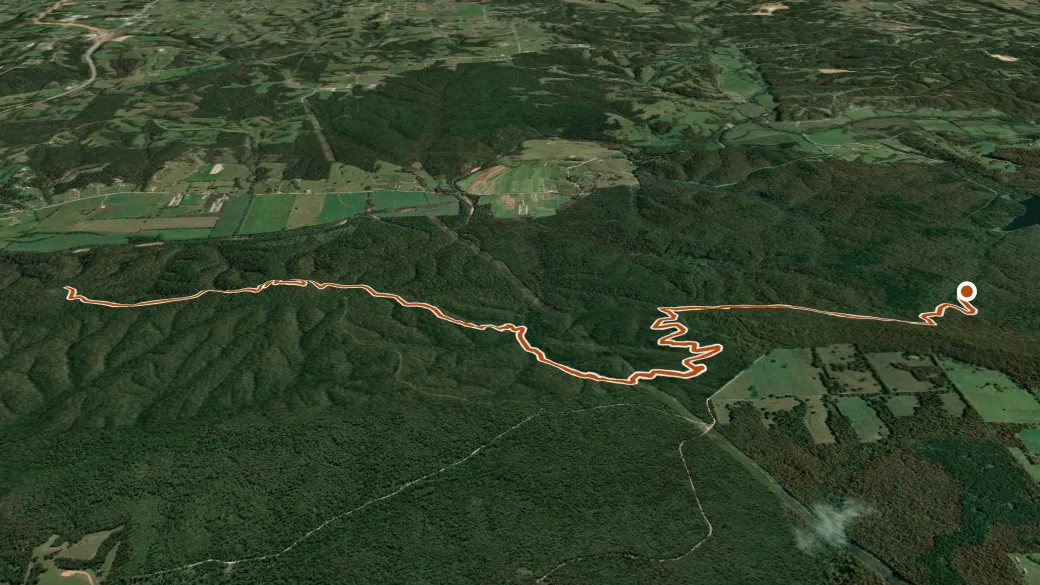 3-D terrain view of Wedington Twin Mountains