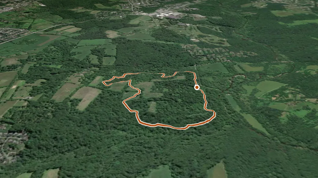 3-D terrain view of David English