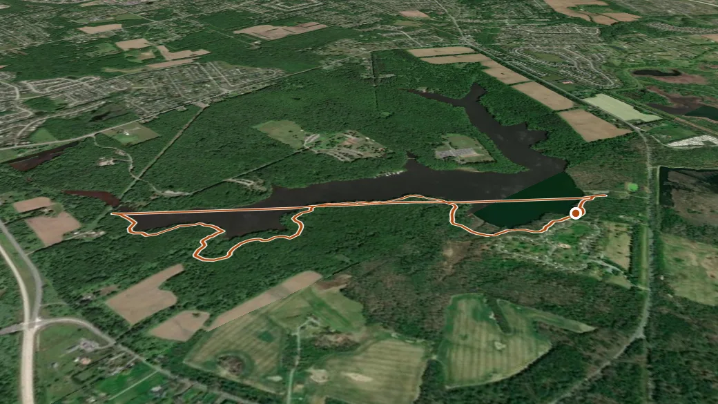 3-D terrain view of Swamp Forest