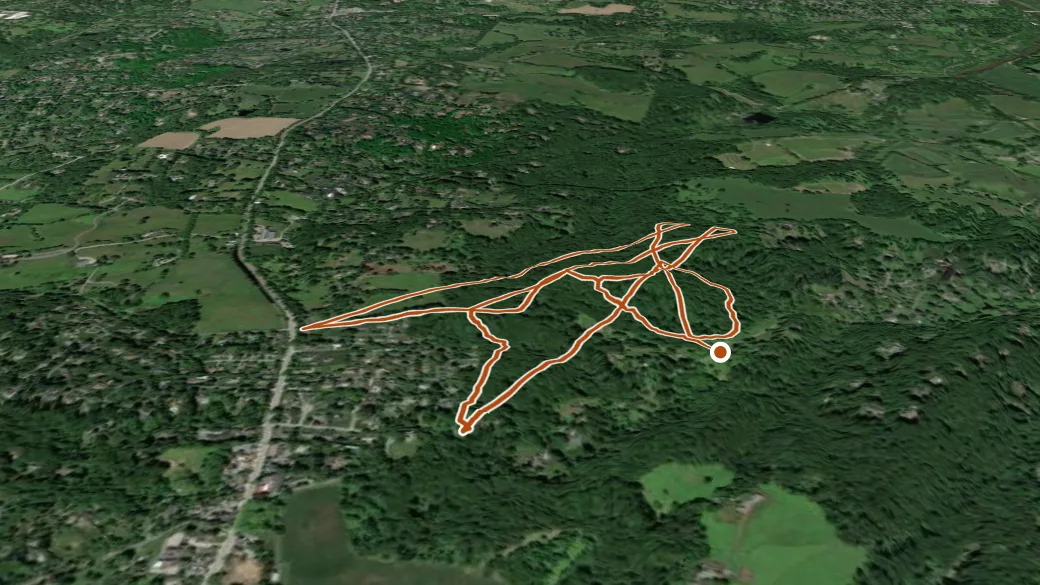 3-D terrain view of Flint Woods