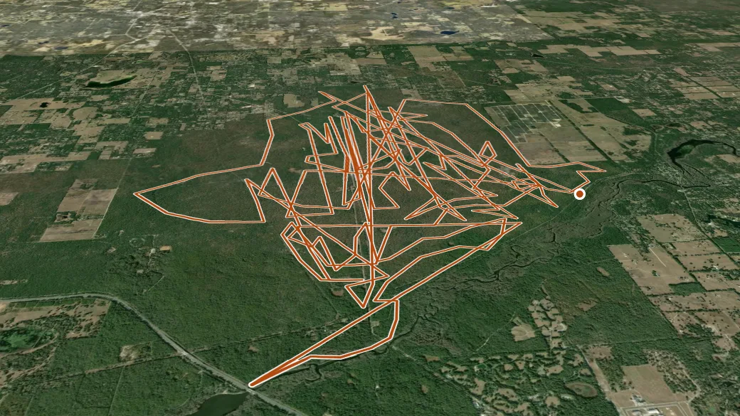 3-D terrain view of Withlacoochee State Forest Trail