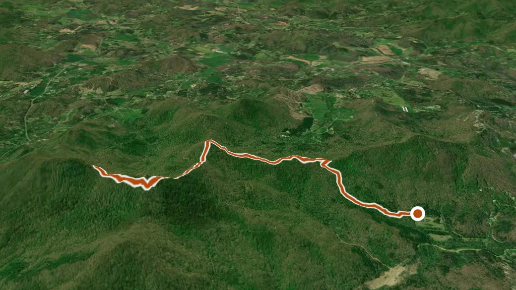 3-D terrain view of Nicholson Gap