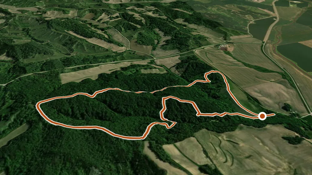 3-D terrain view of Sp 1