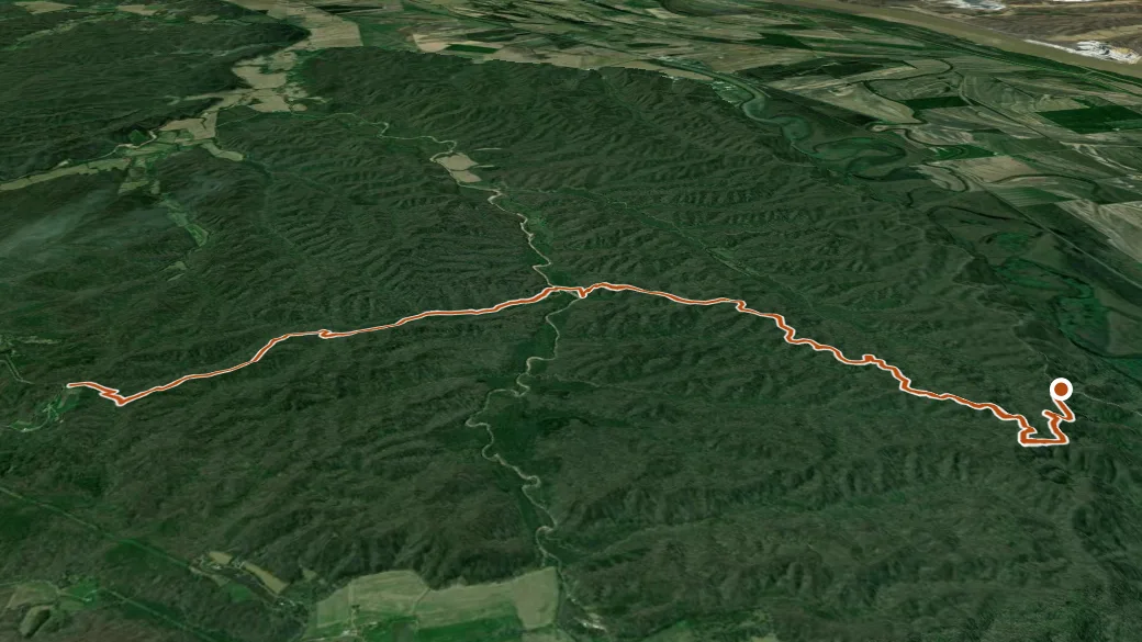 3-D terrain view of Godwin