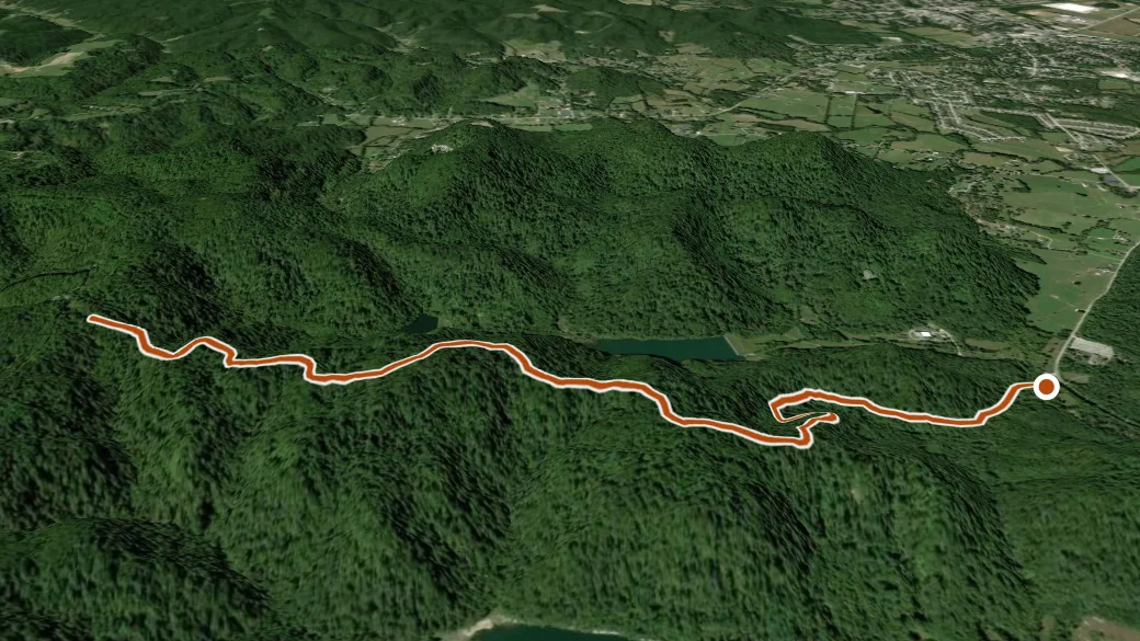 3-D terrain view of 1. Pinnacle Knob Trail (blue, 2.7mi)