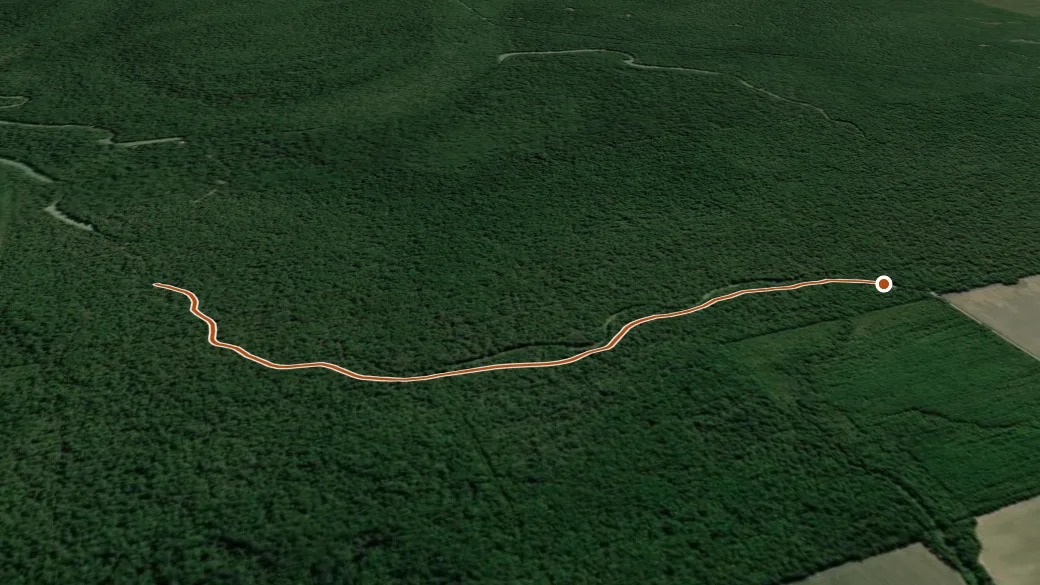3-D terrain view of Little Fork N. ATV Trail