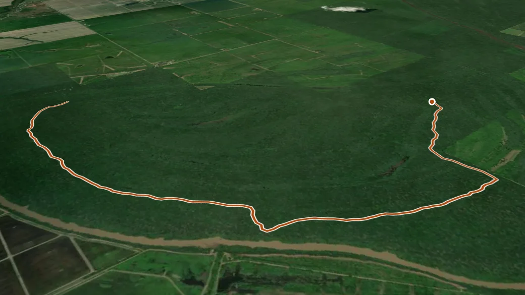 3-D terrain view of Wallace Lake Yellow Trail