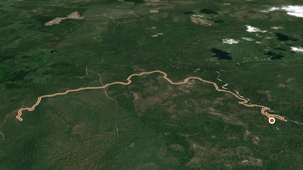 3-D terrain view of Caroline Dormon