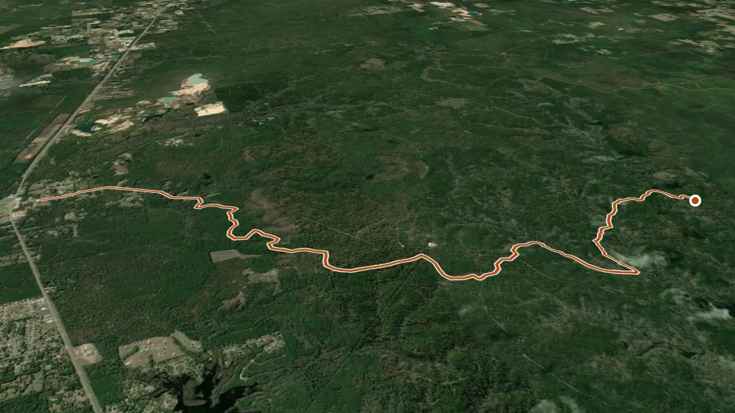 3-D terrain view of Wild Azalea