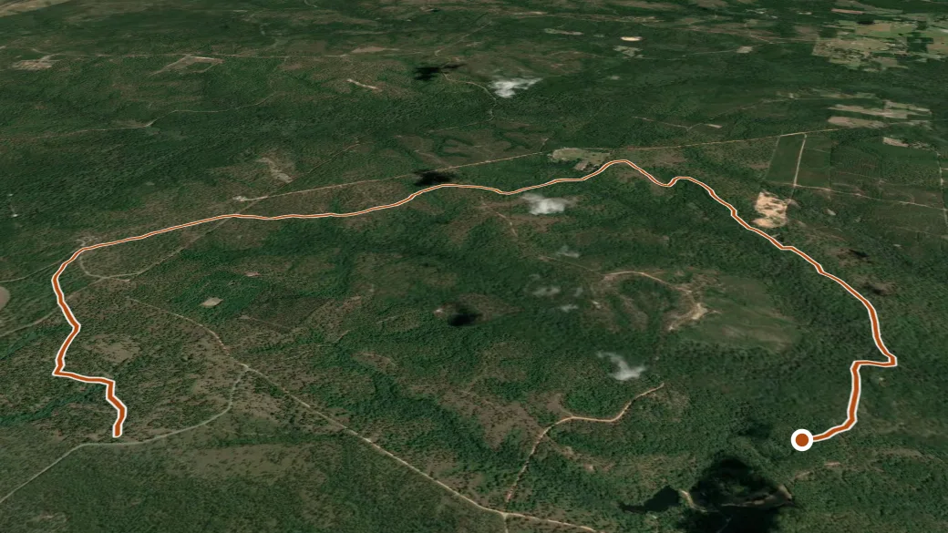 3-D terrain view of Big Branch