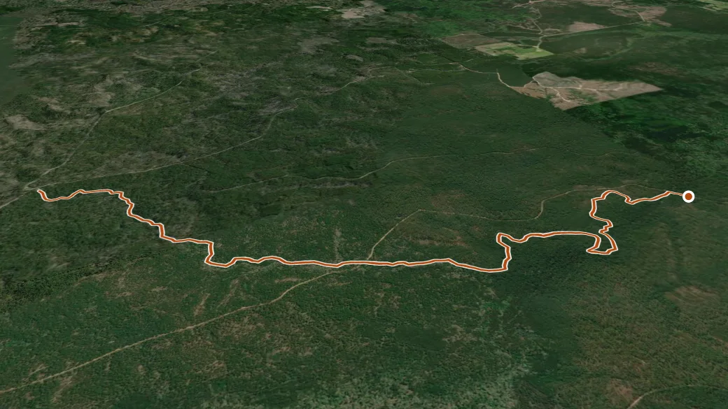 3-D terrain view of Caroline Dormon Trail
