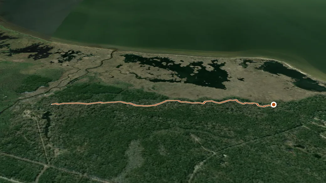 3-D terrain view of Cane Bayou Trail