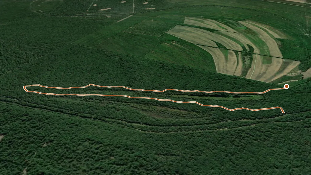 3-D terrain view of Rainey Lake Trail