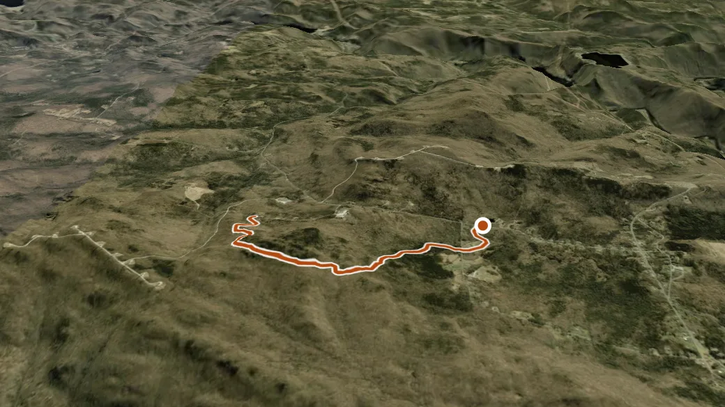 3-D terrain view of Bruiser's Pass Snowmobile Trail