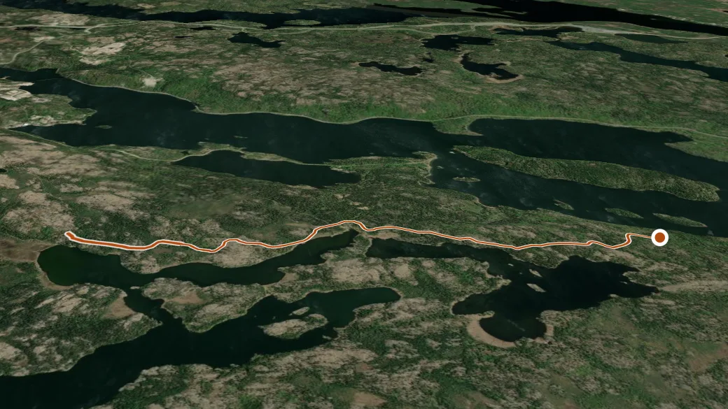 3-D terrain view of South McRae W