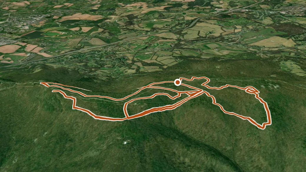 3-D terrain view of Yellow Poplar