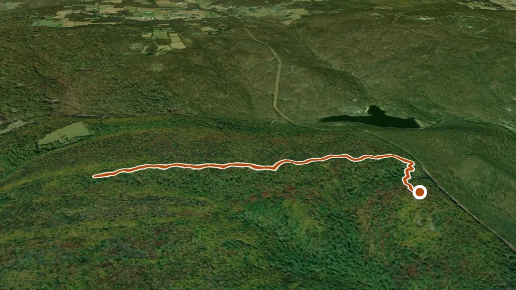 3-D terrain view of Cat Rock