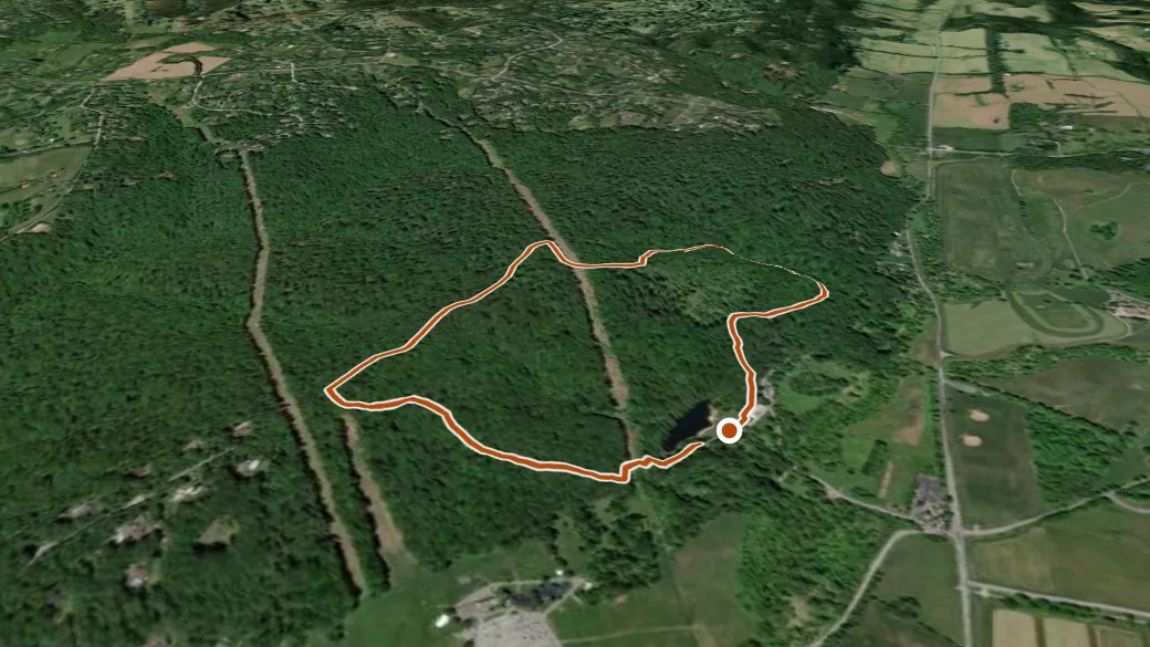 3-D terrain view of Loggers Trail