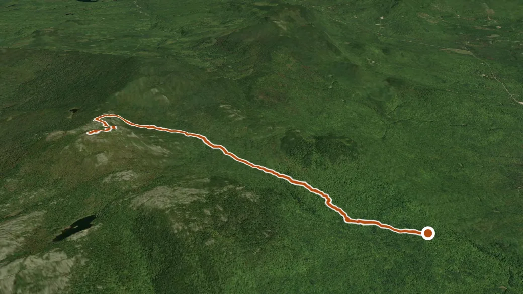 3-D terrain view of Little Jackson Mountain Trail