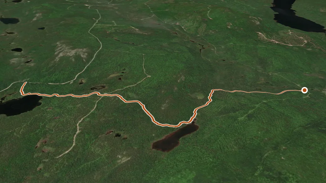 3-D terrain view of Tumbledown Dick Trail