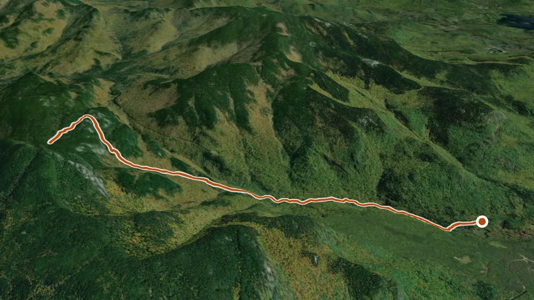 3-D terrain view of Royce Trail