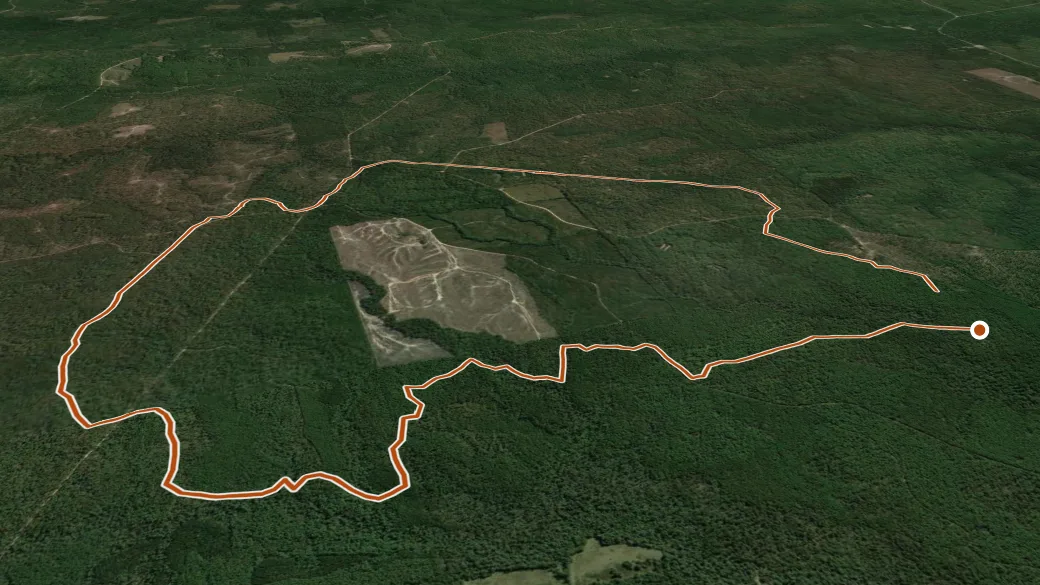 3-D terrain view of Longleaf Horse Trail - Yellow