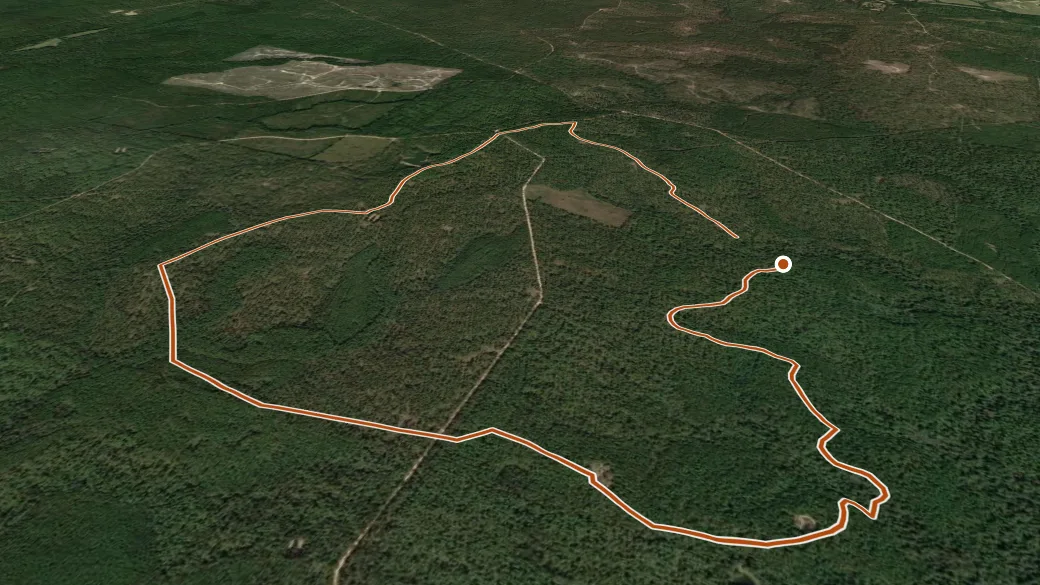 3-D terrain view of Longleaf Horse Trail