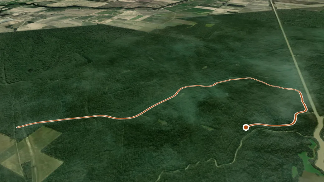 3-D terrain view of 706d Dowling Bayou Trail