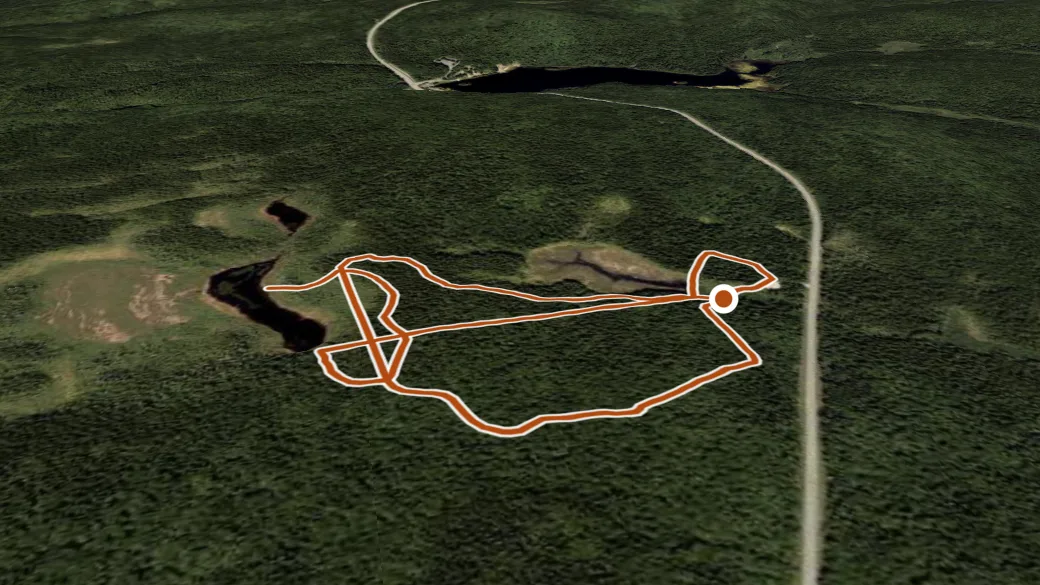 3-D terrain view of Caribou Plain