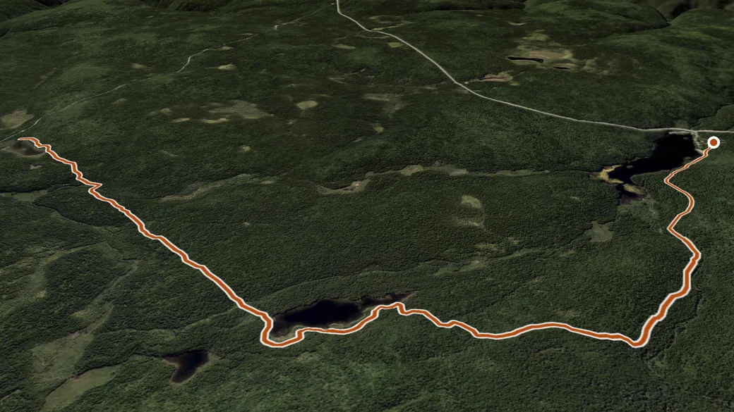 3-D terrain view of Tracey Lake