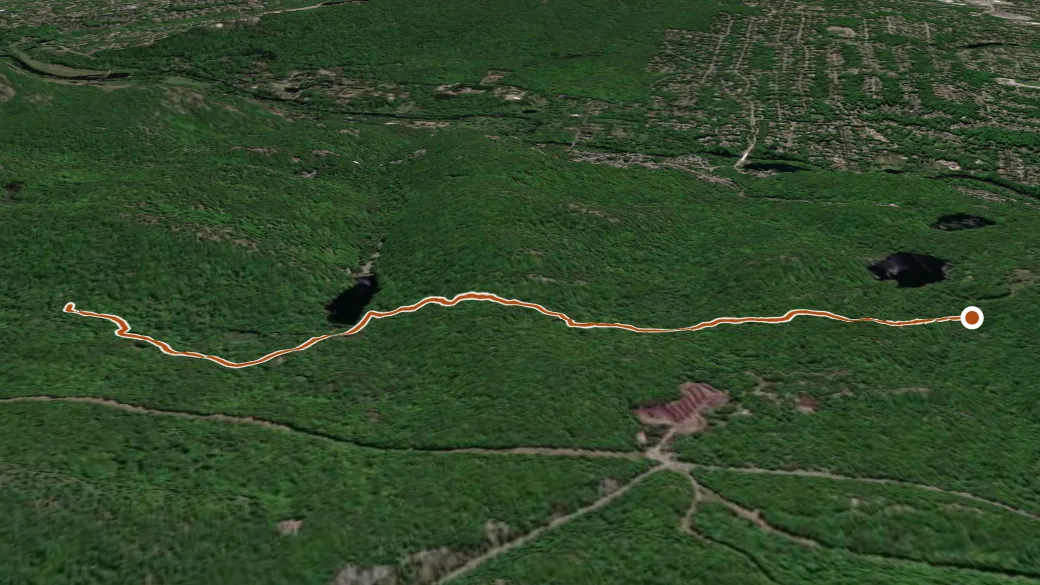3-D terrain view of Schuber