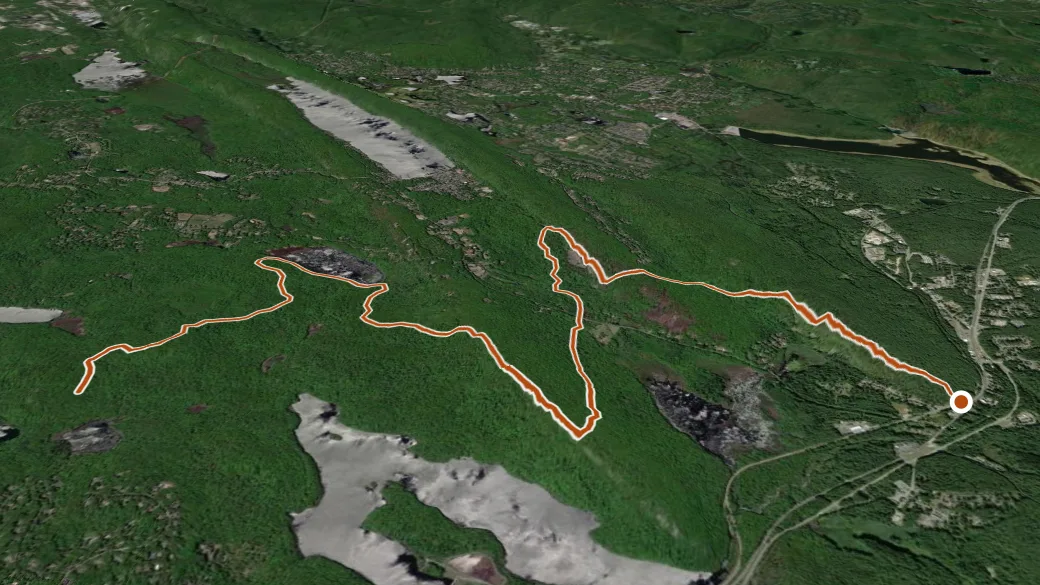 3-D terrain view of Four Birds