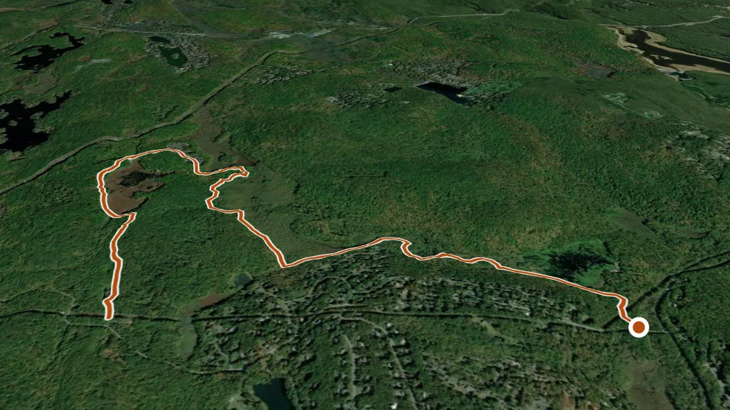3-D terrain view of Edison