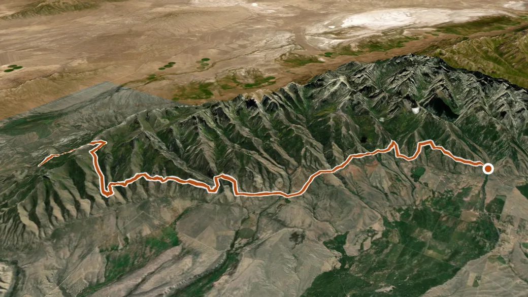 3-D terrain view of Lamoille-Gardner Creek Th