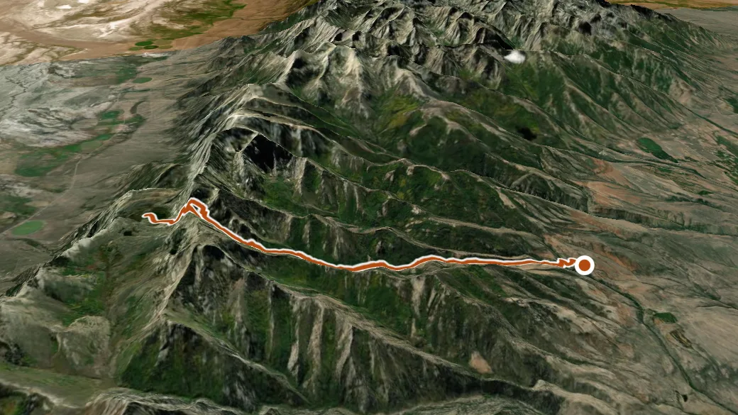 3-D terrain view of North Fork Cold Creek