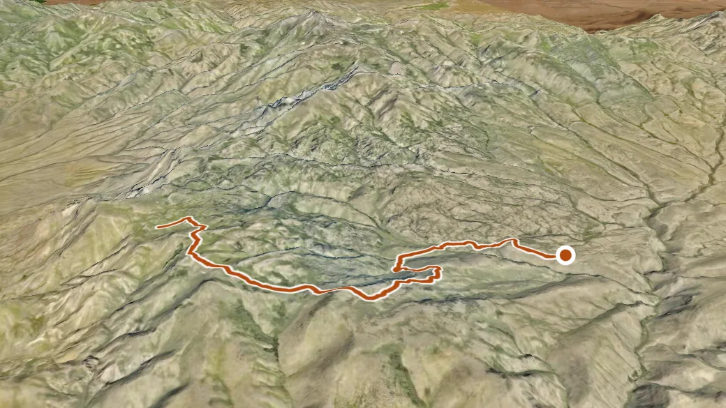 3-D terrain view of Single Tree Trail