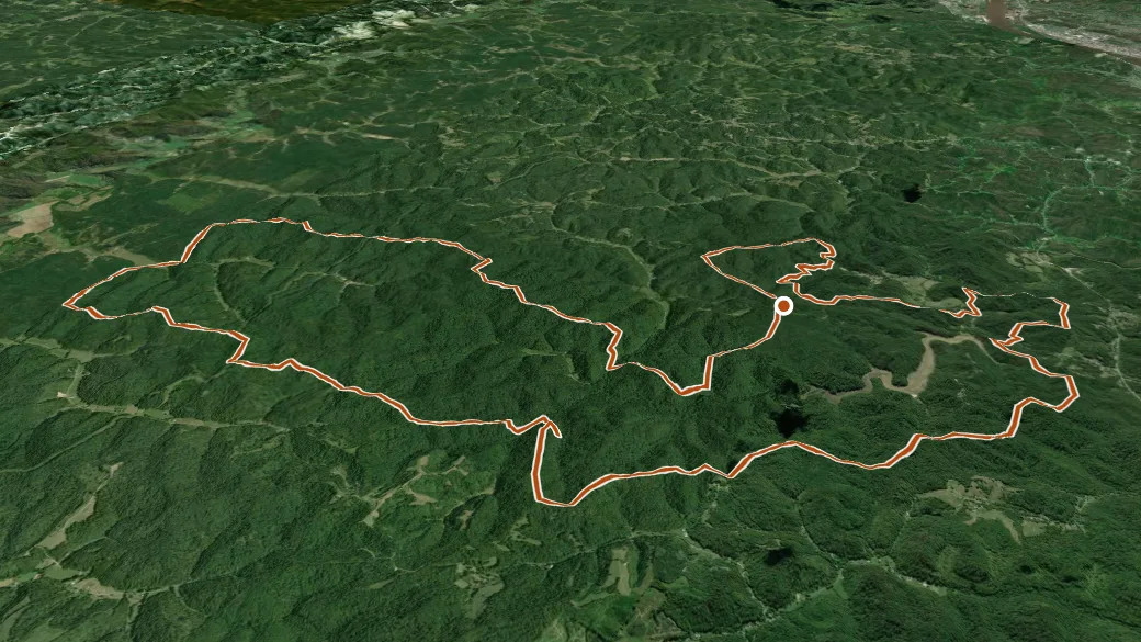 3-D terrain view of Vesuvius Main Loop