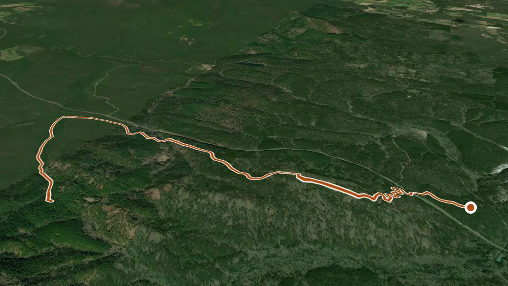 3-D terrain view of Wsm Eq - 1004