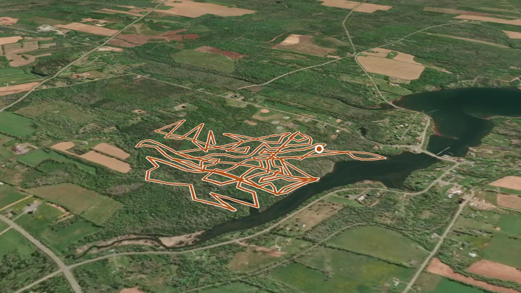 3-D terrain view of Cardigan Trails