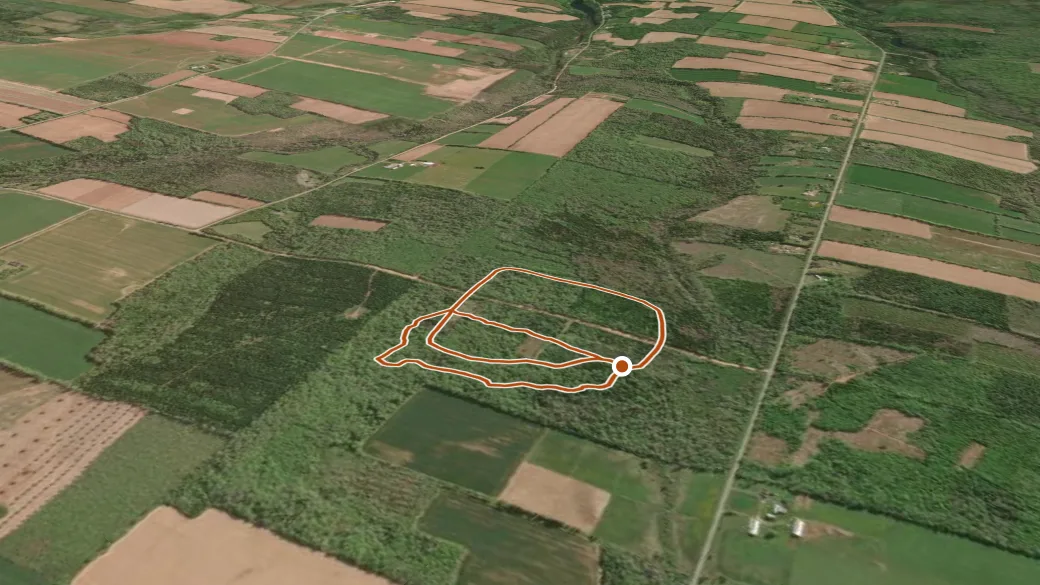 3-D terrain view of Valleyfield Demo Woodlot
