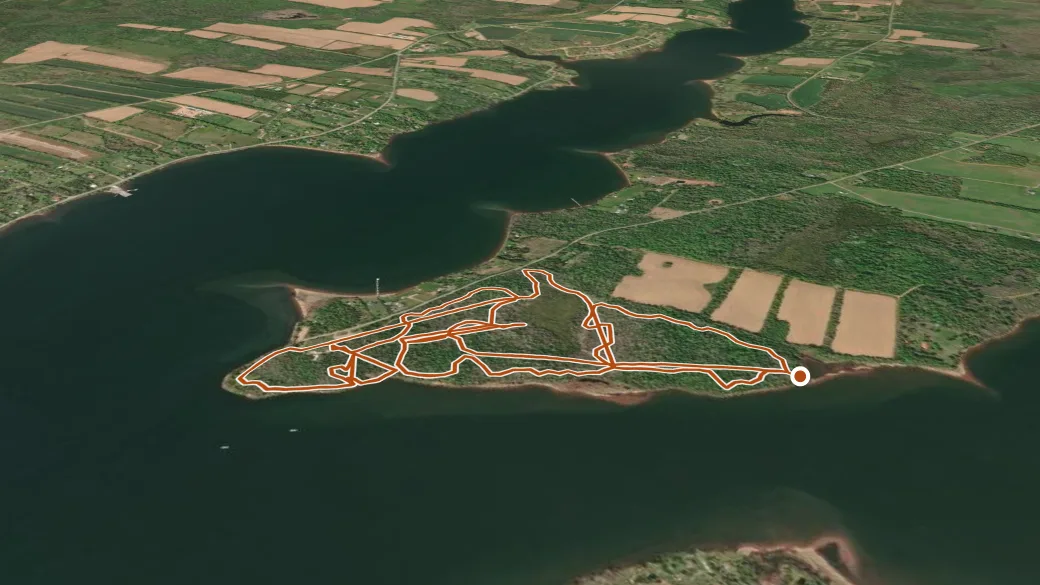 3-D terrain view of Roma at Three Rivers