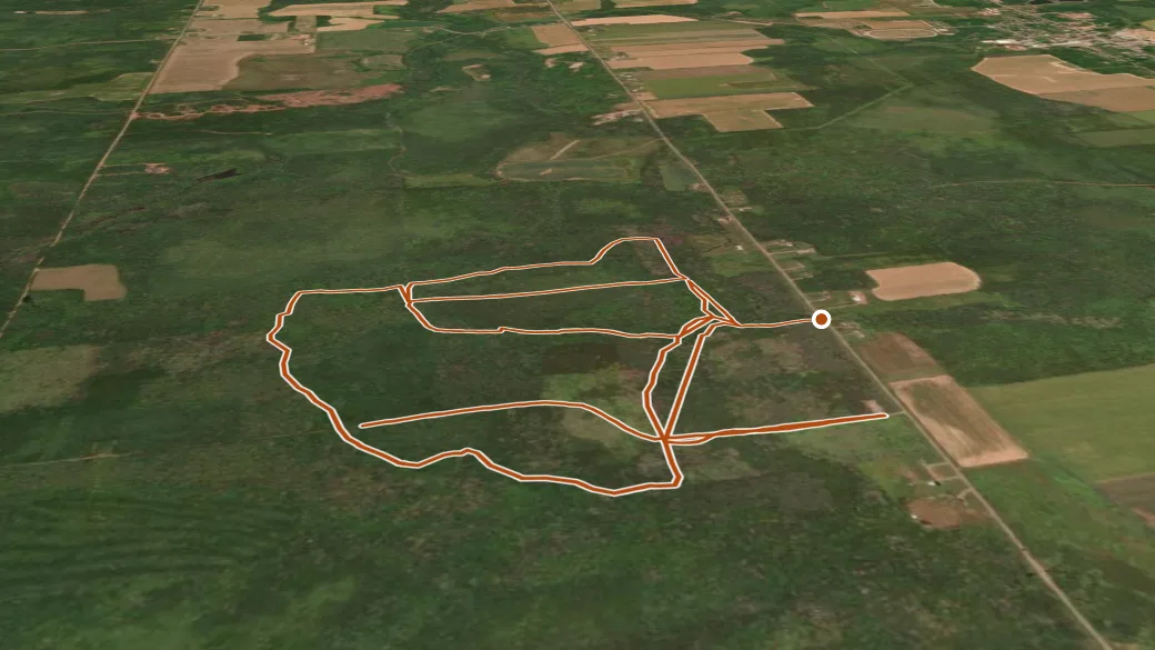 3-D terrain view of Forestview Trail