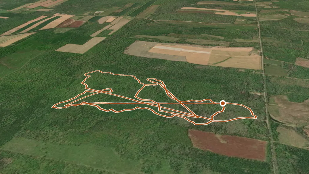 3-D terrain view of Selkirk Forest Walking Trail