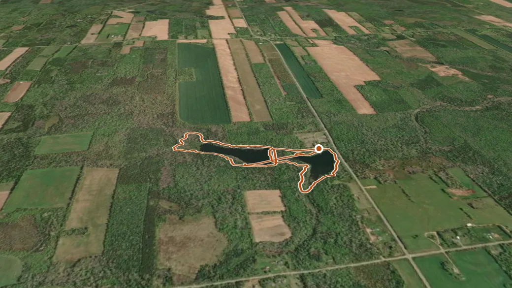 3-D terrain view of Harvey Moore Willife Sanctuary