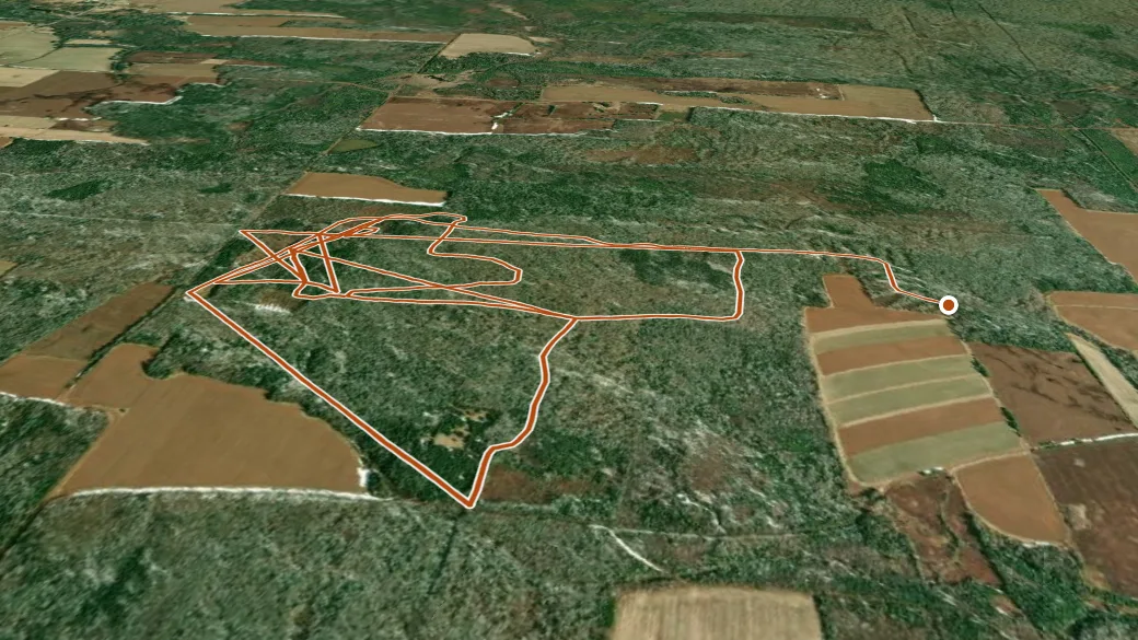 3-D terrain view of New Harmony Demo Woodlot