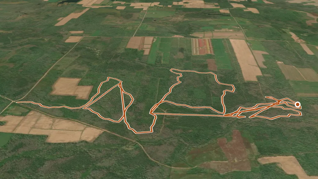 3-D terrain view of Dromore Woodlands Trails