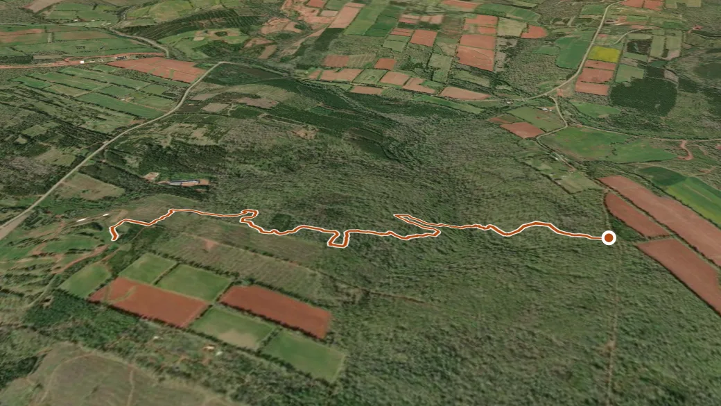 3-D terrain view of Secret Snake