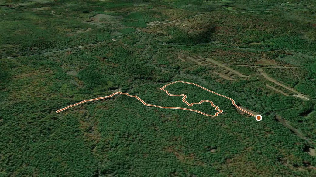 3-D terrain view of Shelter trail